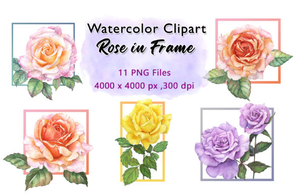 11 Watercolor Rose in Frame Cliparts for Illustrations