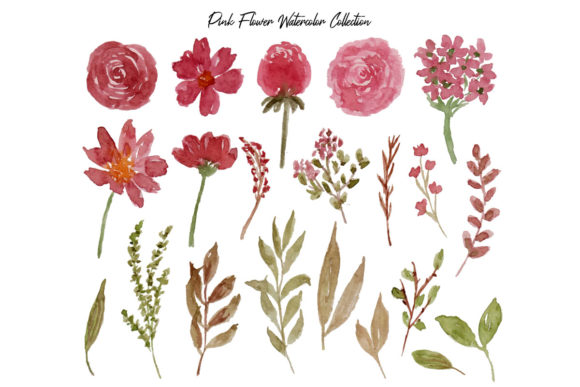 Beautiful Pink Flowers Leaf Watercolor