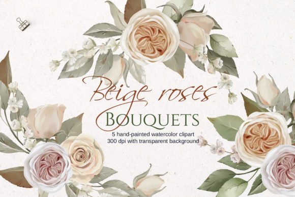 Beige Roses Bouquet Watercolor Illustrations