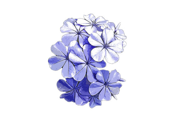 Blue White Flowers Watercolor Drawing Illustrations