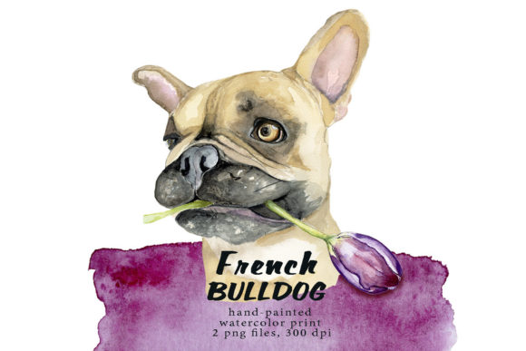 French Bulldog Print, Watercolor Dog Illustrations
