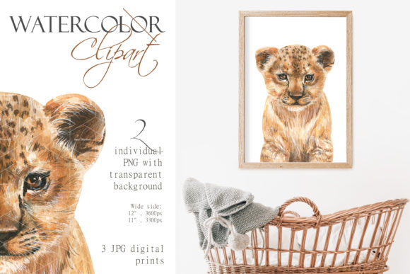 Lion Baby Watercolor Lion Cub Clipart