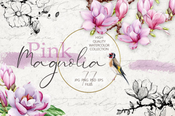 Pink Magnolia Watercolor Collection and Illustrations