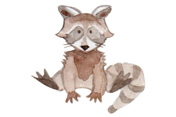 Racoon Animal Watercolor Woodland PNG
