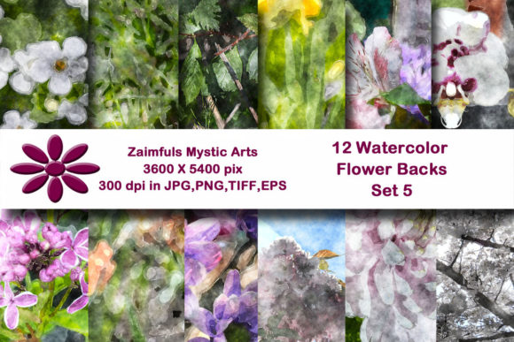 Reviewing 12 Watercolor Flower Backs Set 5 Illustrations