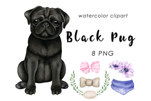 Watercolor Black Pug Illustrations