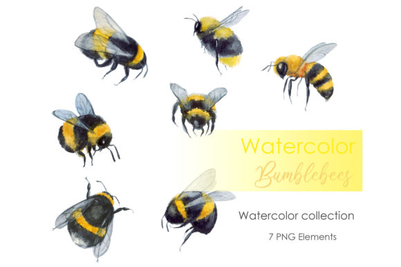 Watercolor Clipart Bee Clipart Bumble Illustrations