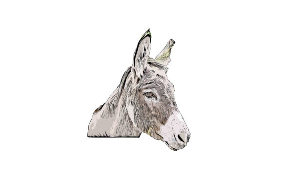 Watercolor Donkey Drawing and Illustrations