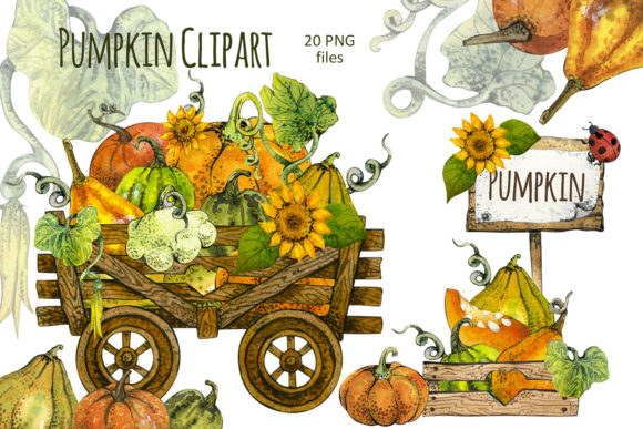 Watercolor Fall Pumpkin Clipart: Premium Illustrations