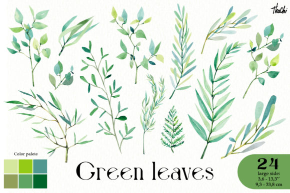 Watercolor Green Twigs Leaves Clipart and Illustrations