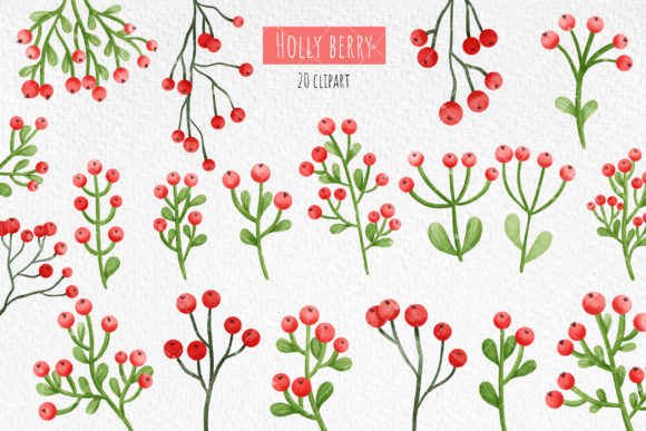 Watercolor Holly Berries Illustrations