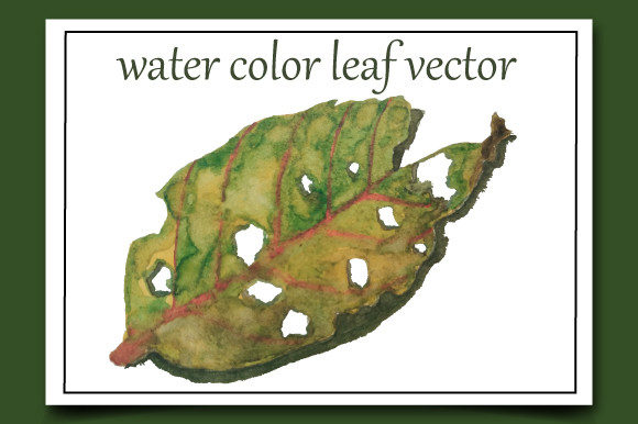 Watercolor Leaf Vector Illustrations
