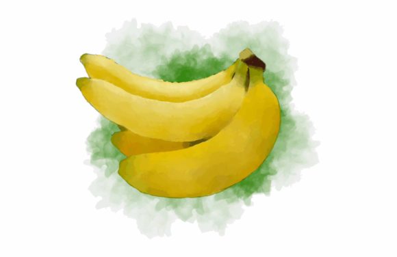 Watercolor Painting Banana and Illustrations