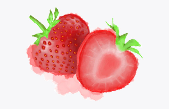 Watercolor Painting Strawberry Illustrations