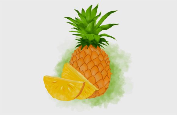 Watercolor Pineapple Painting and Illustrations