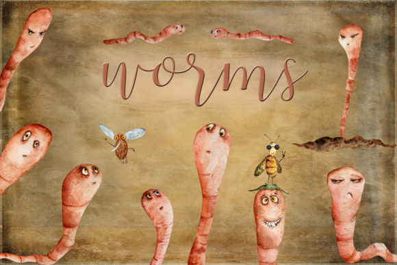 Watercolor Worms: A Review for Digital Illustrations